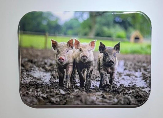 Pig magnet, dirty pig magnet, muddy pig magnet, pigs, pig, pigs magnet, fridge magnet, pig fridge magnet, farm animal magnet
